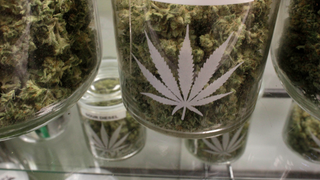 Changing the Face of Cannabis Ownership: A 6-Point Plan for Black Equity in the Industry